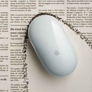 mouse.b