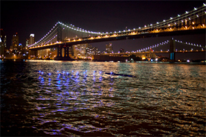 AMPHIBIOUS_6-web
